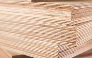 ما هو الخشب الرقائقي؟