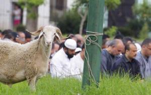 مظاهر الاحتفال بعيد الأضحى