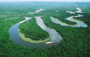 معلومات عن غابة الأمازون
