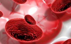 أهمية الدم في جسم الإنسان