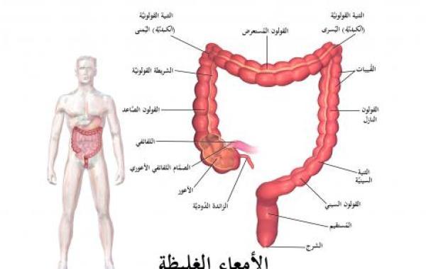 فائدة الزائدة الدودية