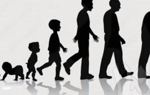 مراحل نمو الإنسان من الطفولة إلى الشيخوخة