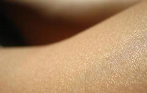 أهمية الجلد
