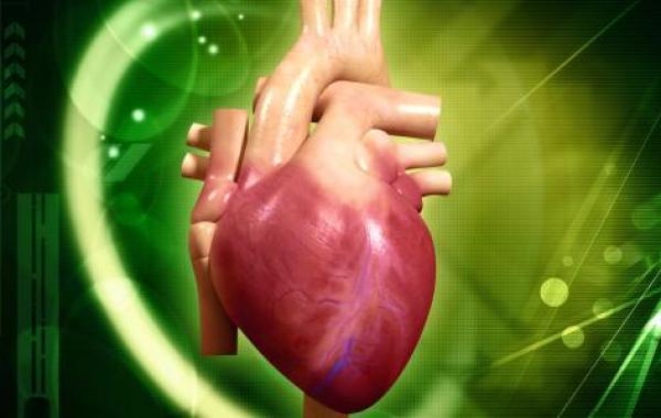 ما هي أعراض ضعف عضلة القلب