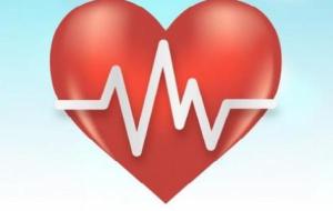 ماذا يكشف تخطيط القلب