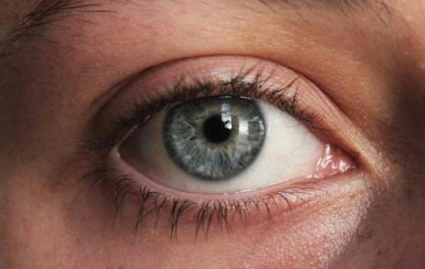 أجزاء العين الخارجية