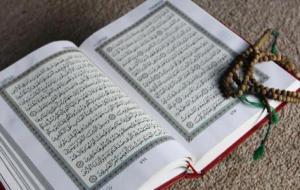 أمثلة على المثنى في القرآن الكريم