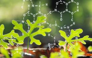 أهمية علم الكيمياء الحيوية