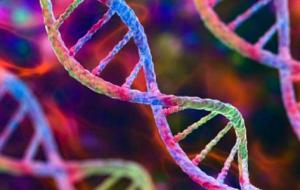 أهمية علم الوراثة في حياتنا