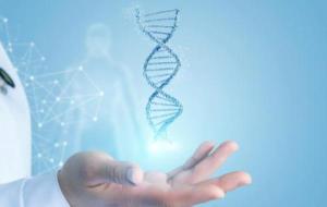استخدامات الحمض النووي