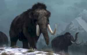 الحيوانات التي عاشت في العصر الجليدي