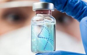 الفرق بين Dna وrna