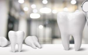 بحث عن أشكال الأسنان وأسمائها