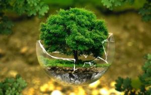 بحث عن السلوكيات البيئية