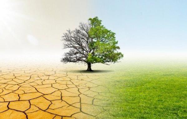تأثير الاحتباس الحراري على الزراعة