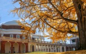 جامعة فرجينيا (جامعة عامة وموقع تراث عالمي في أمريكا)