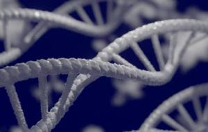 خاتمة بحث عن علم الوراثة