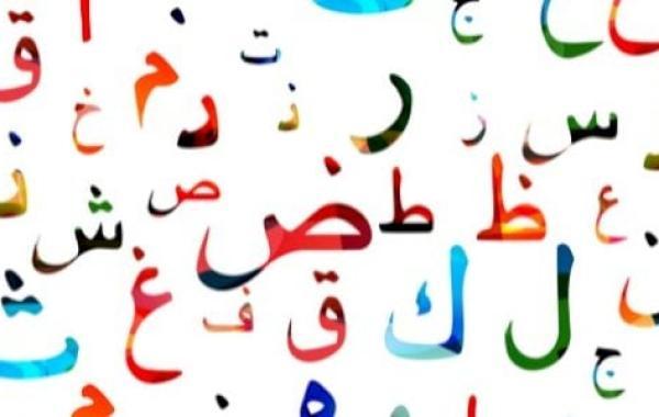 شبه الجملة في اللغة العربية