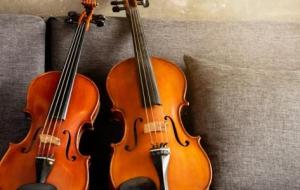 الفرق بين آلة الكمان والفيولا