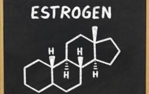 ما هو هرمون الإستروجين