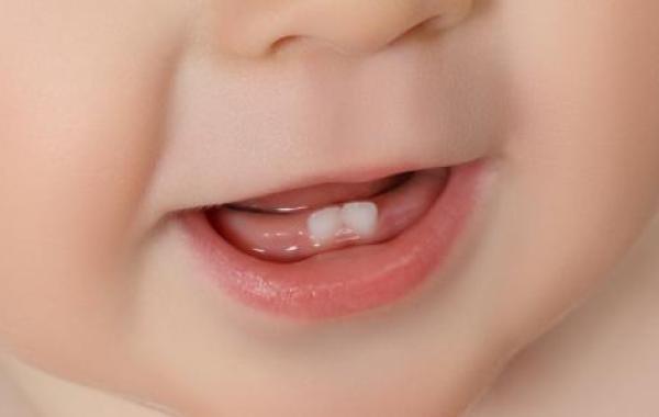 متى يبدأ نمو الأسنان عند الإنسان