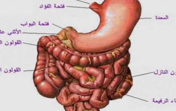 لماذا سمي الاثني عشر بهذا الإسم