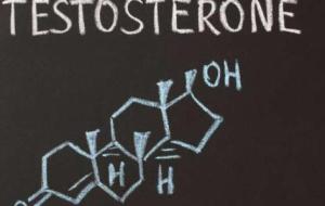 كيف أحصل على هرمون التستوستيرون