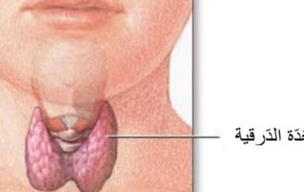 ما هي وظيفة الغدة الدرقية