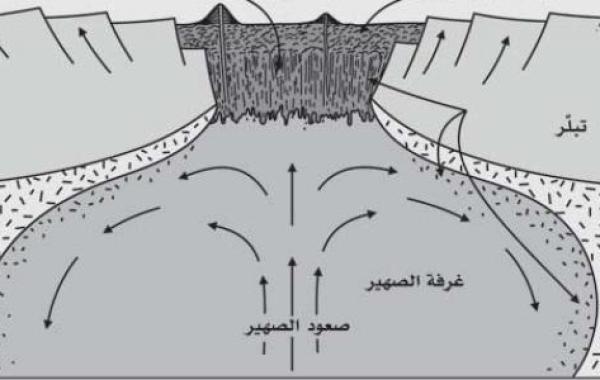 نظرية تكتونية الصفائح