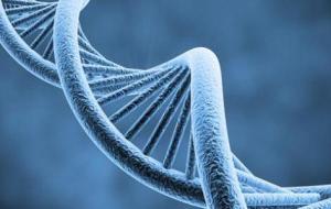 بحث عن علم الوراثة