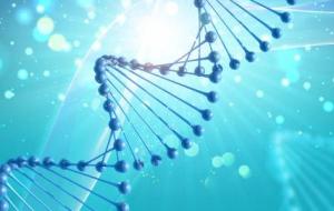 ما هو علم الوراثة