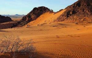 أكبر صحراء في الوطن العربي